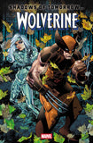 Wolverine #17