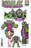 Hulk #1 Ottley Design Variant